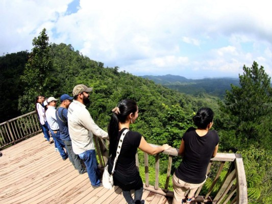Lago Fest: un paraíso para senderismo, kayak y avistamiento de aves