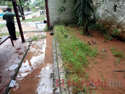 Problemas vecinales en el Distrito Central ¿sabe dónde denunciar?&nbsp;