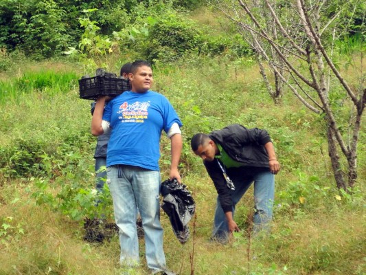Grupo Opsa al rescate de reserva forestal la Tigra en trabajos de reforestación.