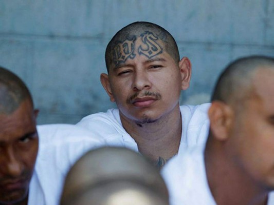 La Casa Blanca advierte sobre los 'animales violentos' de la MS-13