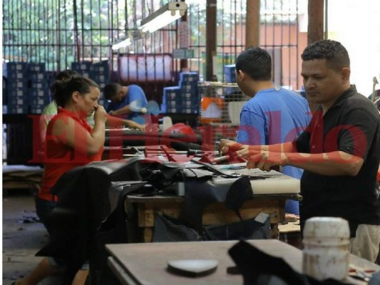 Mipymes deberán estar constituidas y tener RTN