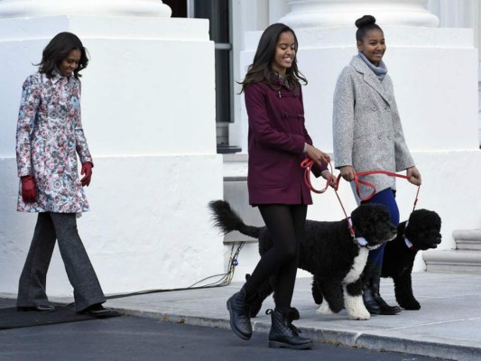 Los perros de la familia Obama no solo comen y duermen