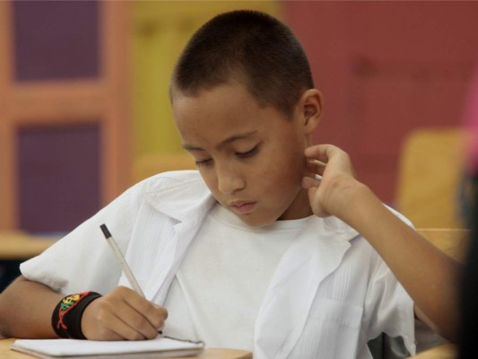 Estudiantes de la Miguel Andonie Fernández aprenden sobre los clubes ambientales&nbsp;&nbsp;