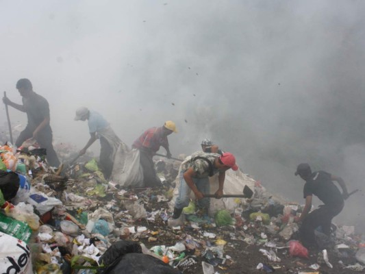 El cinco por ciento de los capitalinos queman la basura