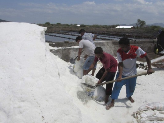 Con respaldo internacional operan microempresas