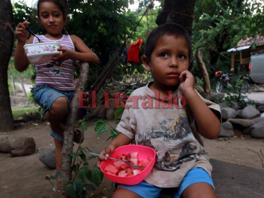 Imágenes que muestran la alarmante crisis por la sequía en el Corredor Seco
