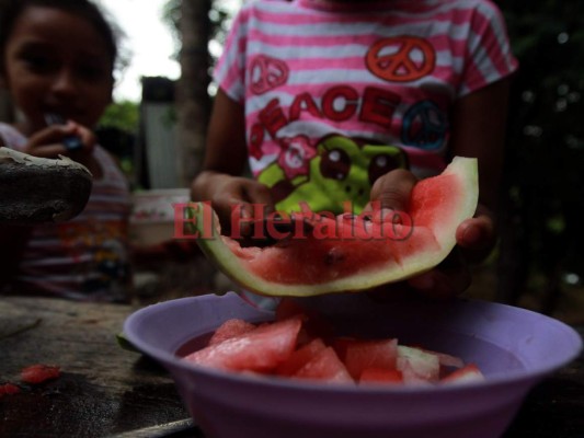 Frutas y bubuchas están comiendo en el corredor seco