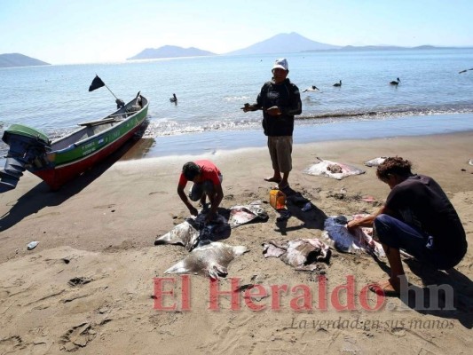 Los pescadores hondureños serán los más beneficiados por el tratado con Nicaragua. Foto: El Heraldo