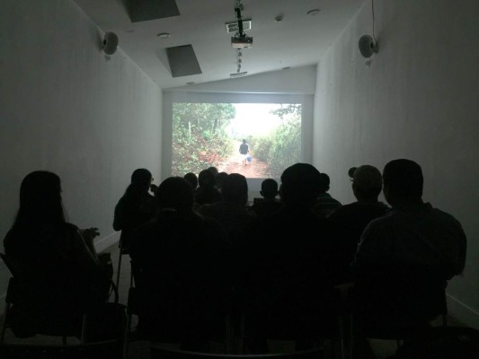 Cartelera alternativa, el lado B del séptimo arte en Tegucigalpa