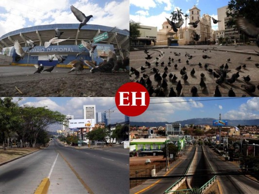 FOTOS: Sin tráfico ni comercio, así luce la capital desde hace siete días