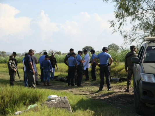 En medio de cañeras encuentran tres cadáveres en Choloma, Cortés