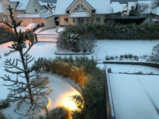 Los mejores chistes de la semana