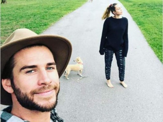 Miley y Liam llegan a un acuerdo sobre la custodia de sus mascotas