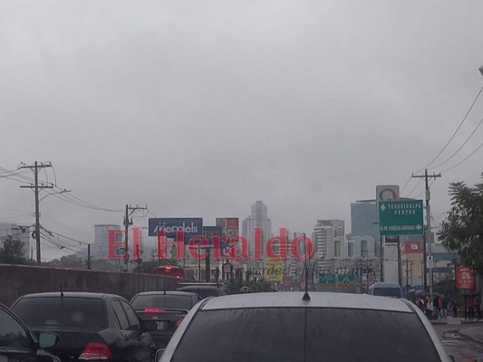 Lluvias provocan caída de árboles en colonias capitalinas&nbsp;&nbsp;