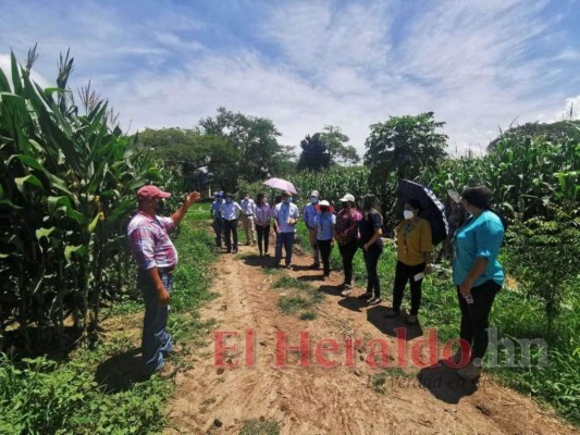 UNAG-Comayagua inició clases con una carrera y matrícula de 16 estudiantes