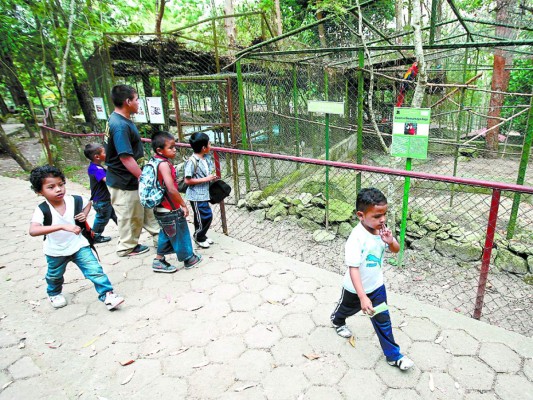 Invierten 4.4 millones en nuevas obras del zoológico Rosy Walther