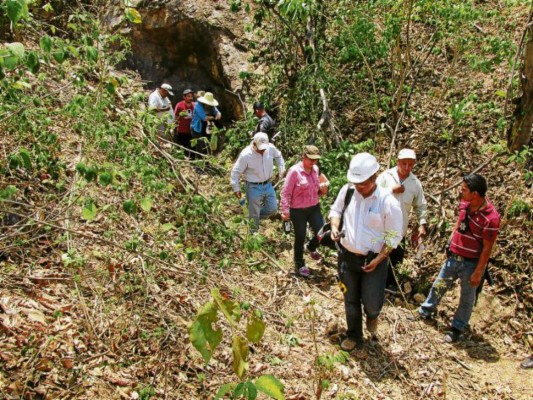 Fiscalía investiga denuncia sobre reactivación de minas