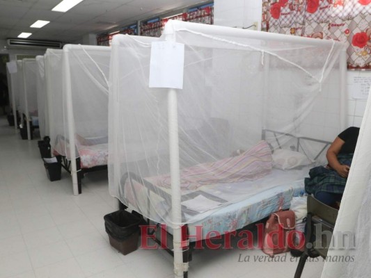 Tres menores mueren en un día a causa de dengue en Honduras