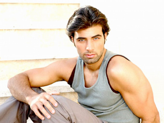 Una lluvia de estrellas llega a la Teletón 2011