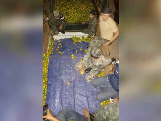 Decomisan mil libras de marihuana en camión cargado de naranjas