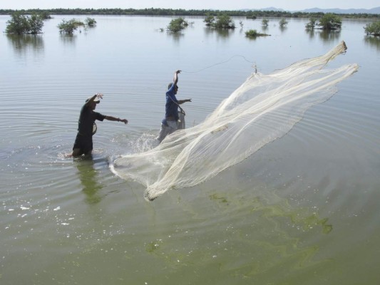Pescadores de la zona sur realizan protesta
