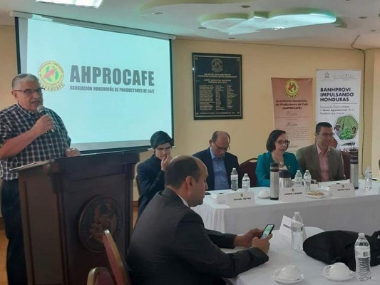 300 millones de lempiras en Banhprovi para caficultores y comercializadores