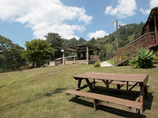 Cinco joyas ecológicas ofrece la capital para disfrutar en verano