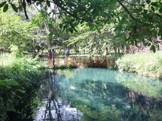 Aguas Termales de oropolí, una fuente medicinal
