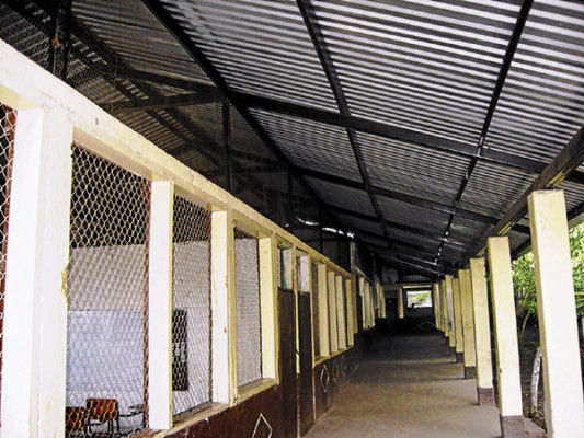 Labores agrícolas y 200 días de clases distinguen a la escuela Froylán Turcios