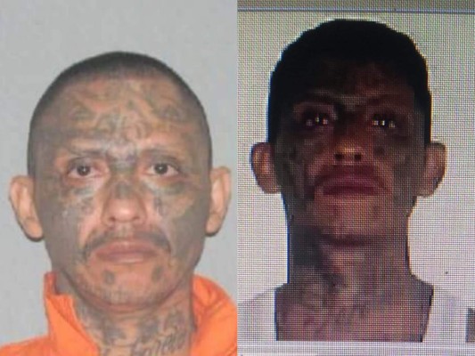 Muere cabecilla de la MS tras enfrentamiento con la policía en Choluteca