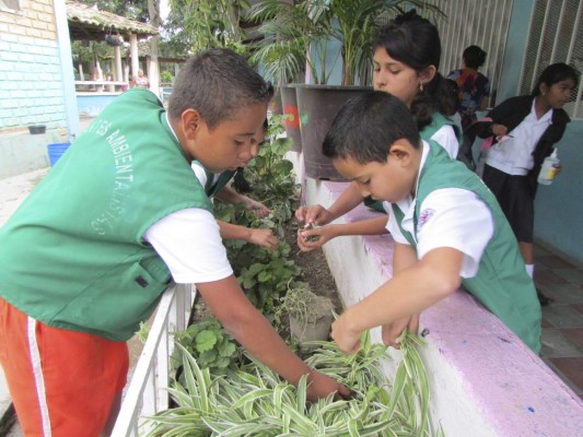 Honduras: Plan escolar ambiental funcionará en vacaciones