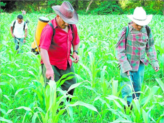 Baja tasa de interés no asegura acceso al crédito