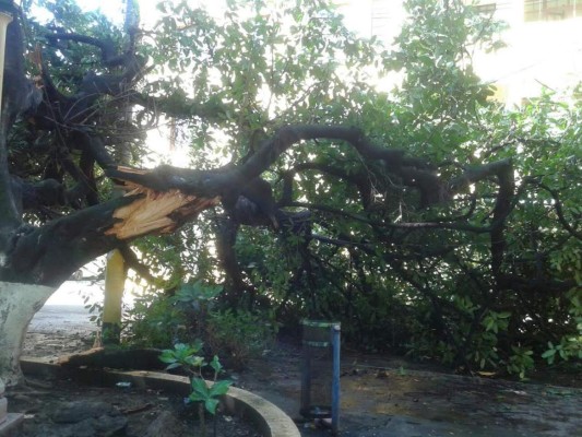 Lluvias dejan daños en parque La Libertad