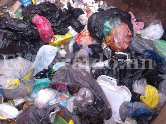 Honduras: Encuentra feto en estado de putrefacción en basurero de la colonia El Carrizal