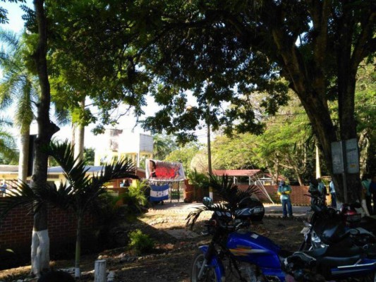 700 aspirantes a ingresar en la Universidad Nacional de Agricultura se quedan sin opción a beca