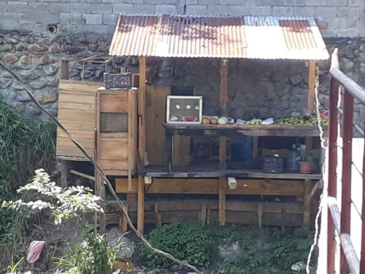 Matan a mujer y dejan gravemente herida a su mamá