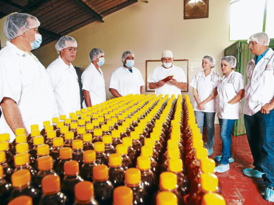 Zamorano apoya apicultura hondureña