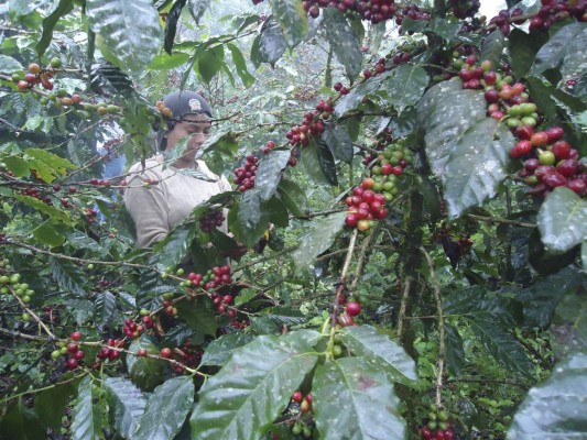 Danlí y El Paraíso, dos ciudades que compiten por el desarrollo