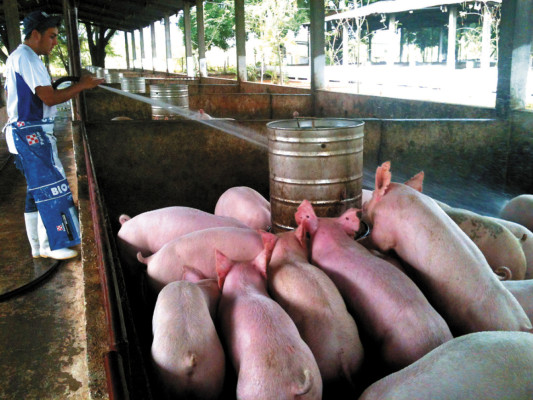 Crecen las ventas de carne de cerdo