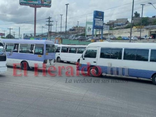 En las próximas horas se aprobarán L 250 millones para el transporte, según el IHTT&nbsp;&nbsp;