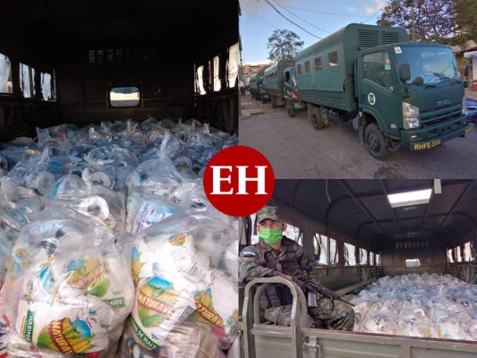 Entregan alimentos a familias hondureñas en cuarentena por coronavirus
