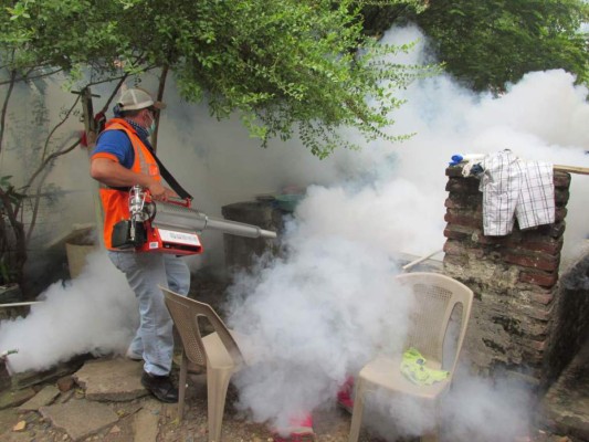La capital es la zona con más registro de dengue