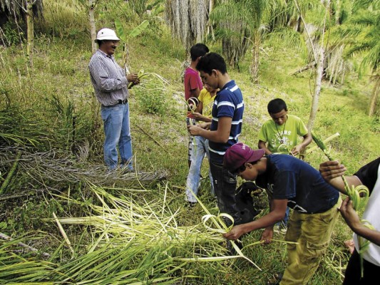 Entre oraciones cortan ramos de olivo