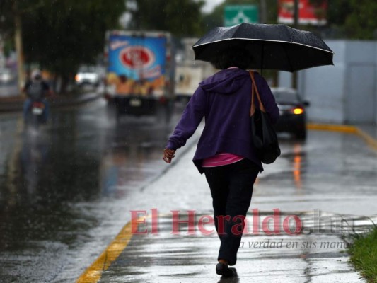 Copeco da a conocer cuándo comenzará a llover por departamento
