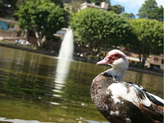 Santa Lucía: una caja de sorpresas y un encanto natural