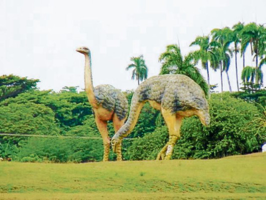 Animales de la prehistoria se refugian en el Parque de Baconao