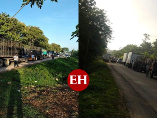 Transportistas de carga pesada protestan contra ZEDE con paro de labores