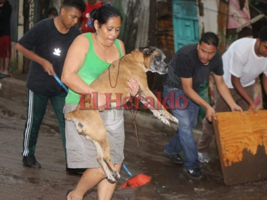 Impactantes fotos de los daños provocados en el Barrio Los Jucos de la capital de Honduras