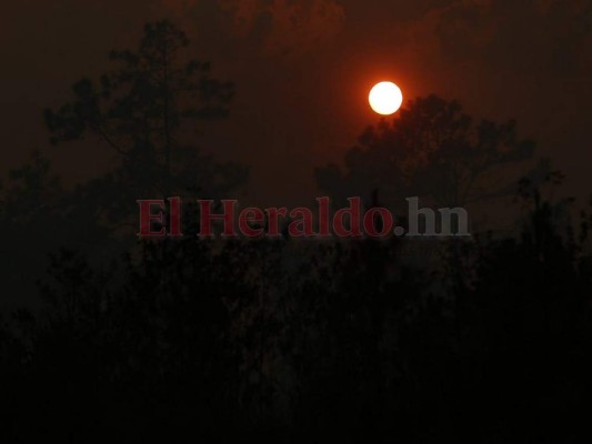 Las infernales imágenes del incendio que consume el bosque de la capital de Honduras
