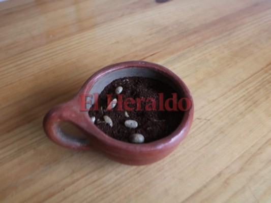 Campamento, hogar del chicharrón, el café y la tradición